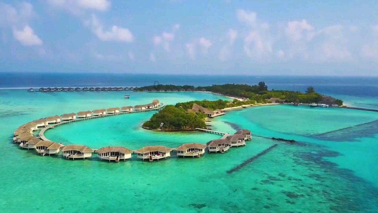 公主的夏季舞会